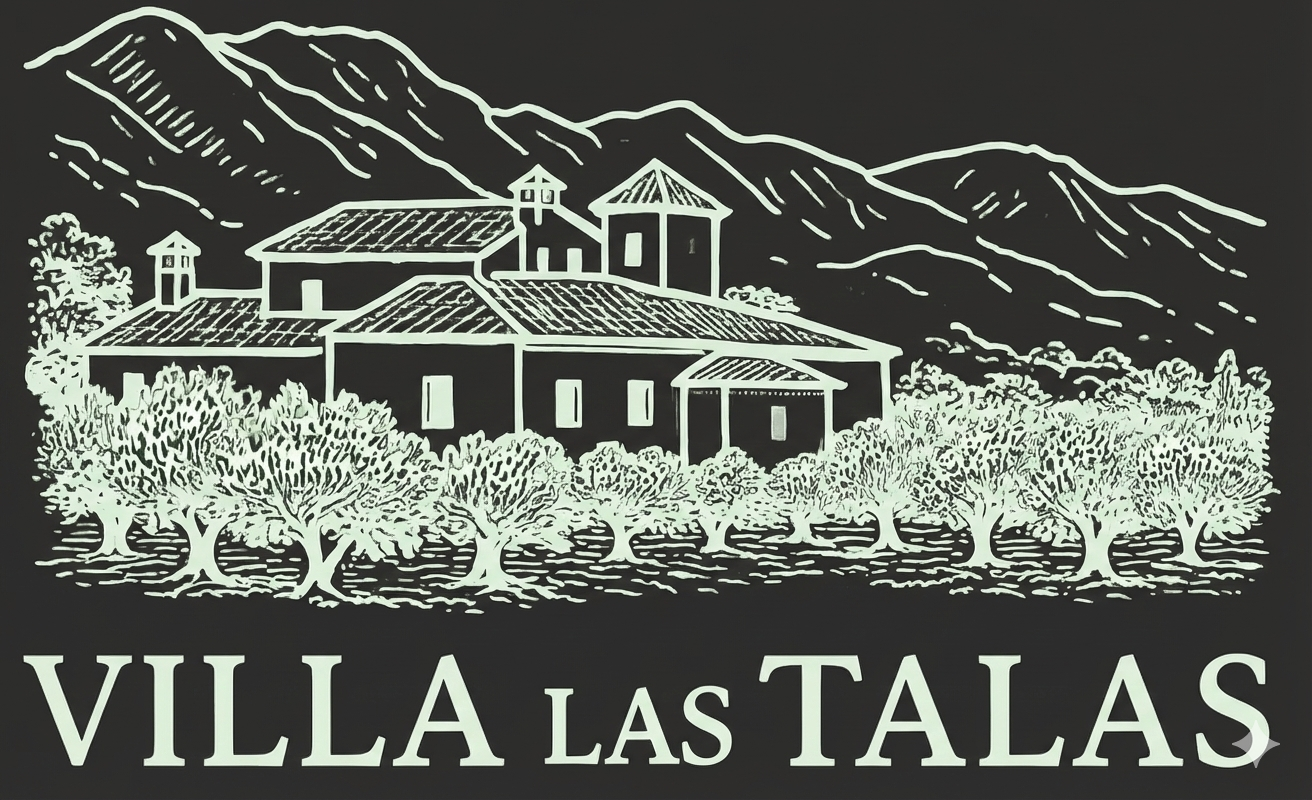 Trazos dibujo del refugio Villa las Talas