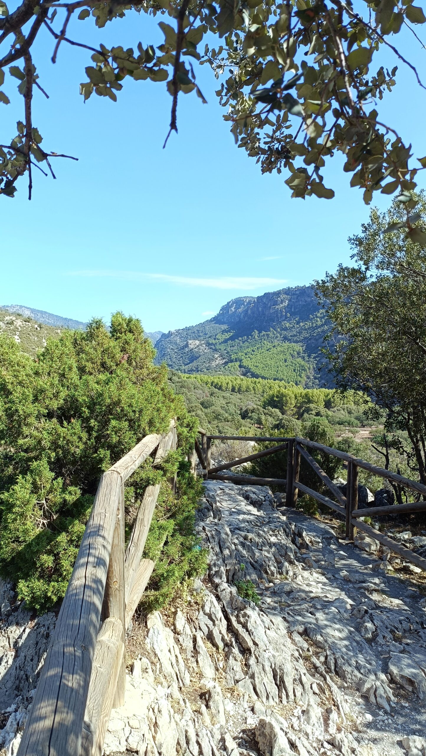 Casa Almendros Mirador en el entorno de Casa Almendros hacia paisaje