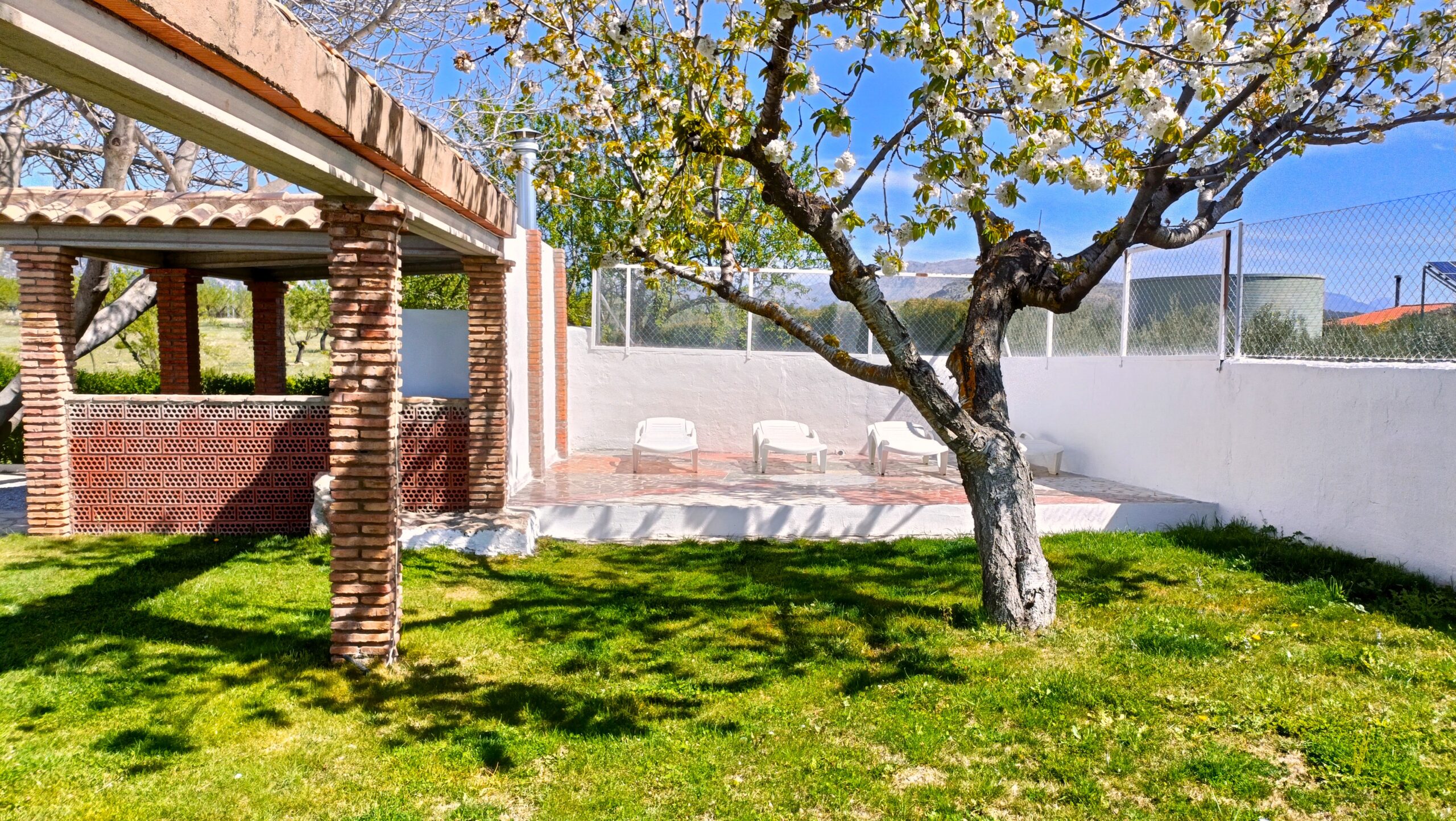 Exterior Bodeguilla Zona exterior con tumbonas para tomar el sol y árbol