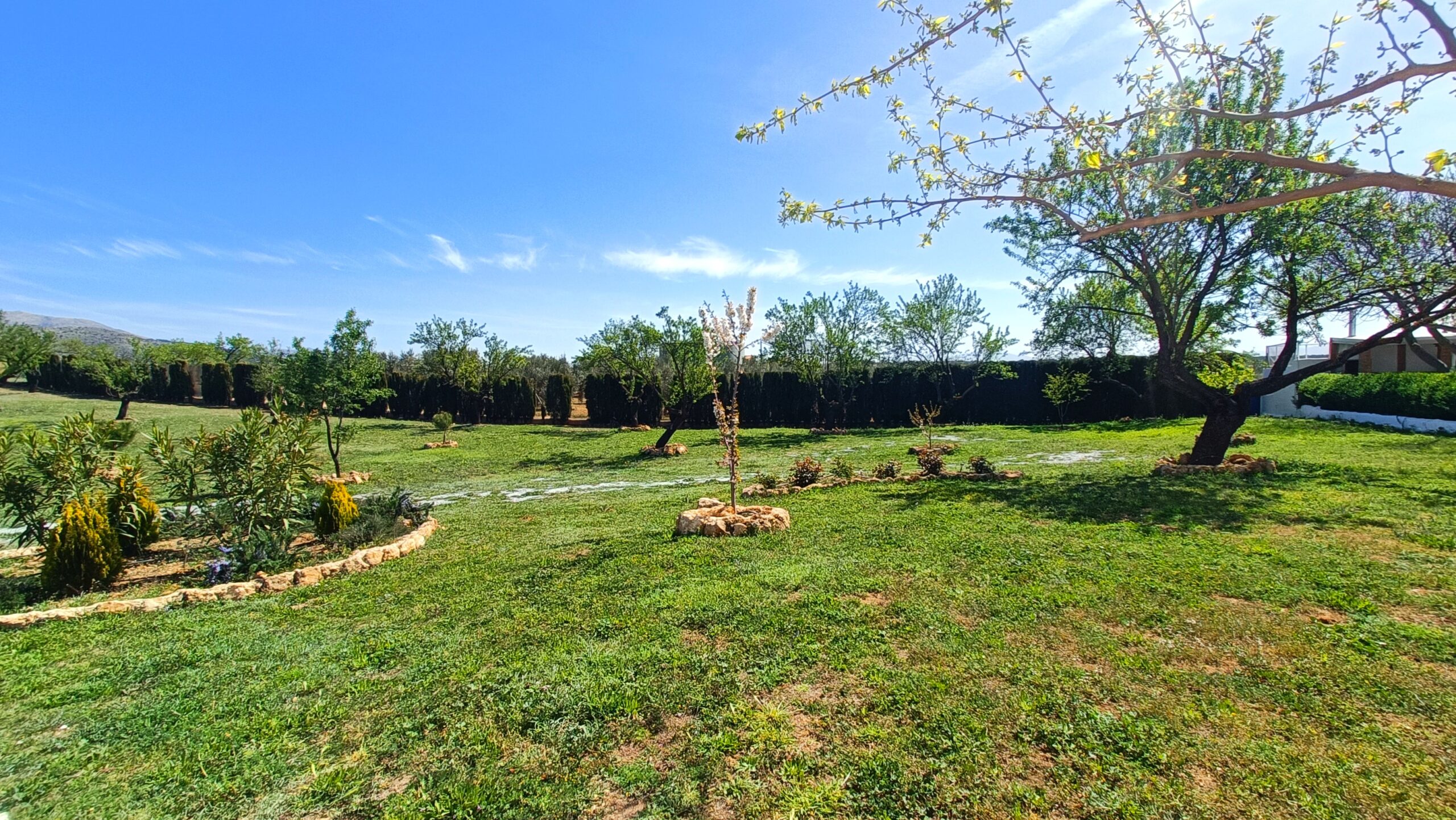 Zona exterior Bodeguilla Césped natural con árboles en Villa las Talas
