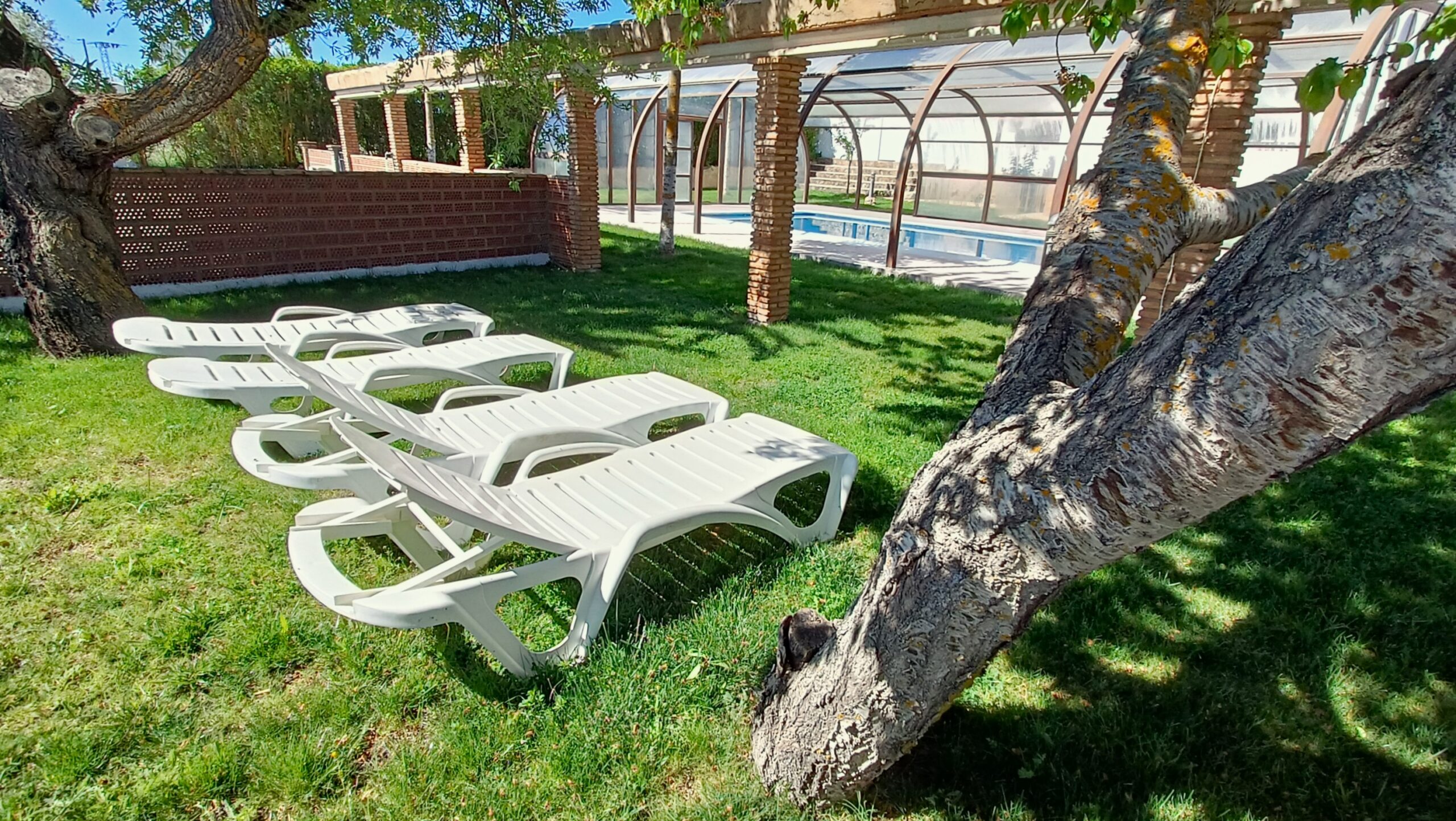 Exterior Bodeguilla Zona de tumbonas al sol con piscina privada