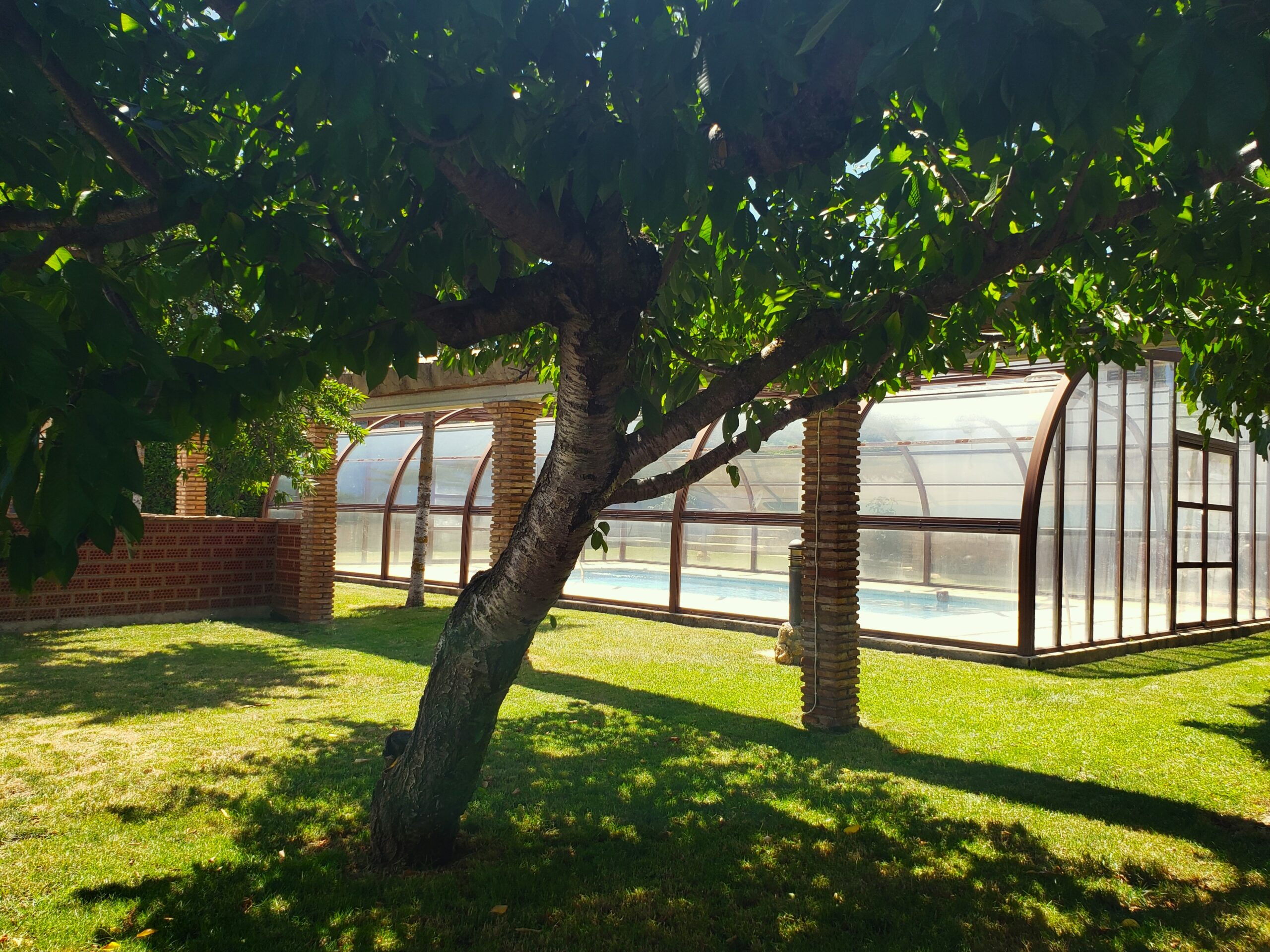 Exterior Bodeguilla Gran árbol con piscina cubierta al fondo en Casa Bodeguilla