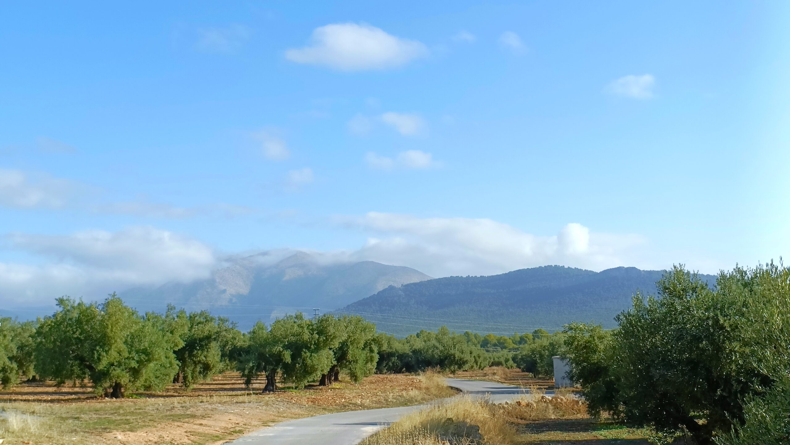 Entorno natural cerca de Villa las Talas Paisaje con olivos y sierra de fondo Camino senderistas y coche