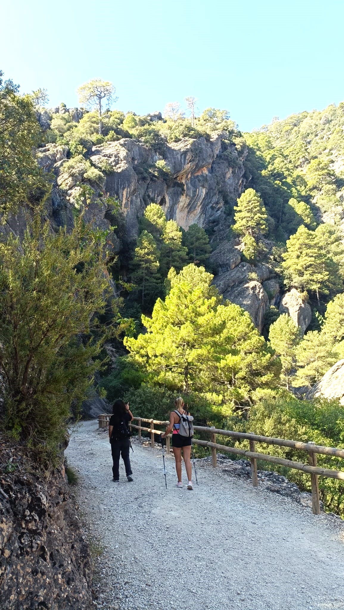 Ruta por el entorno Senderismo en entorno natural dos personas caminando