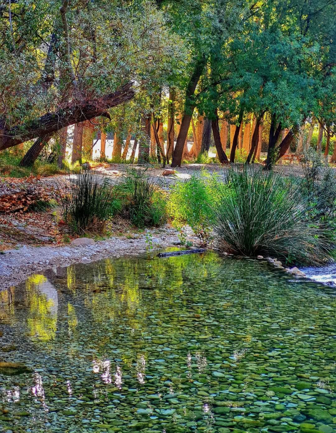 Entorno Peralta Perspectiva del rio de Peralta, piedras en el agua