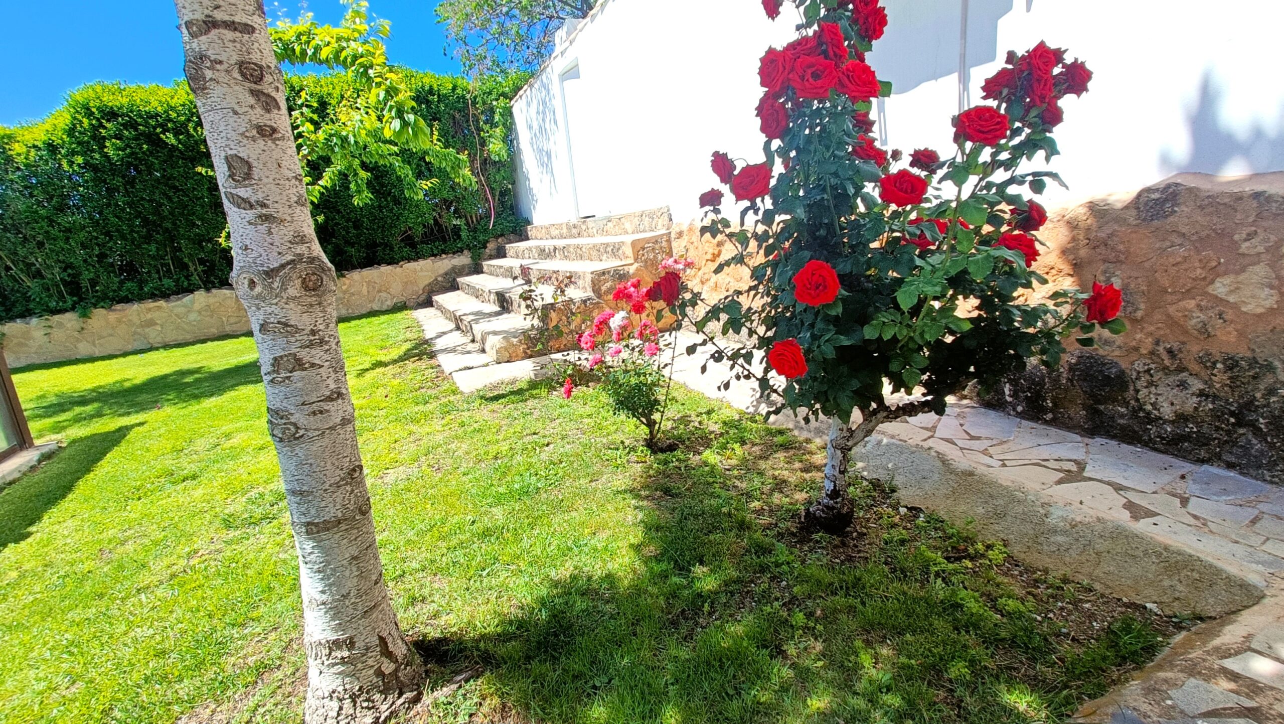 Jardín Bodeguilla Perspectiva natural de rosales de la Bodeguilla